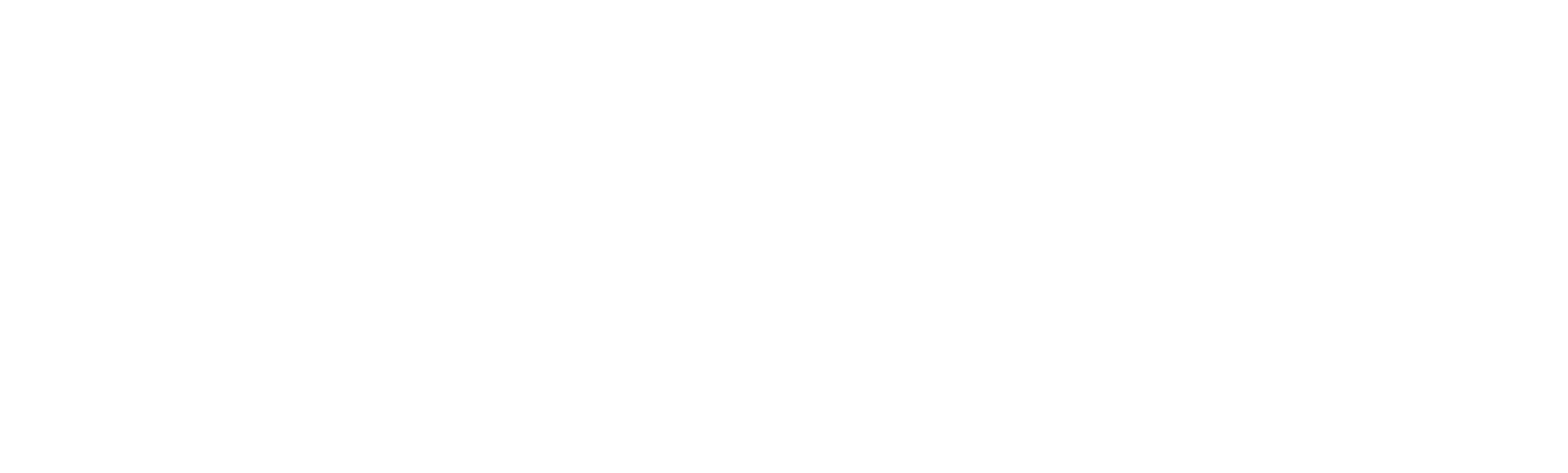 Danielle van der Velde Zorgservice Logo